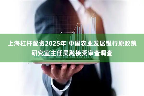 上海杠杆配资2025年 中国农业发展银行原政策研究室主任吴飚接受审查调查