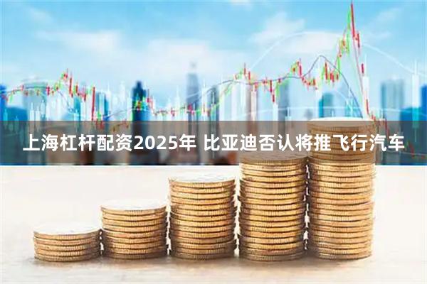 上海杠杆配资2025年 比亚迪否认将推飞行汽车